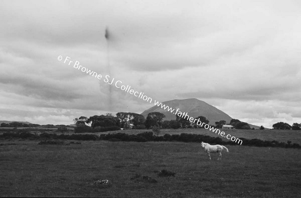 NEPHIN VIEWS PASTORAL SCENE WITH WOMAN DOG AND GATEWAY